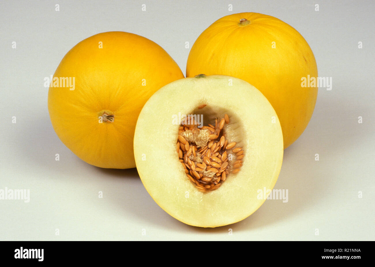 Honigmelonen (gelb) (CUCUMIS MELO) INDORUS GRUPPE Stockfoto