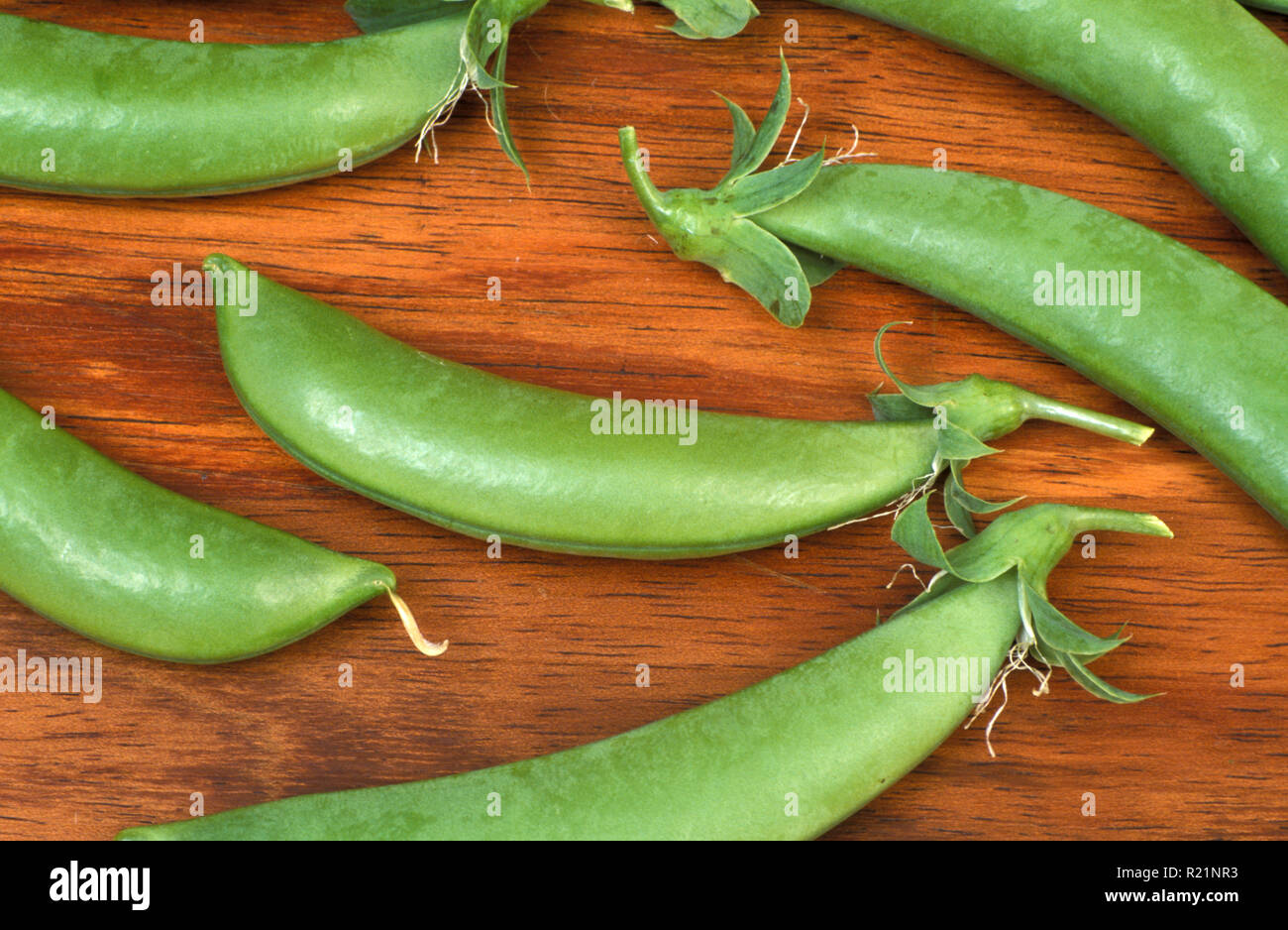 GEERNTETE ZUCKERERBSEN (PISUM) AUF HOLZBRETT. Stockfoto