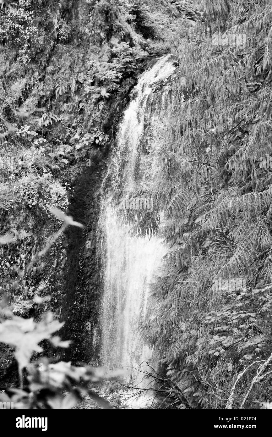 Multnomah Fälle, Oregon in Schwarz und Weiß Stockfoto