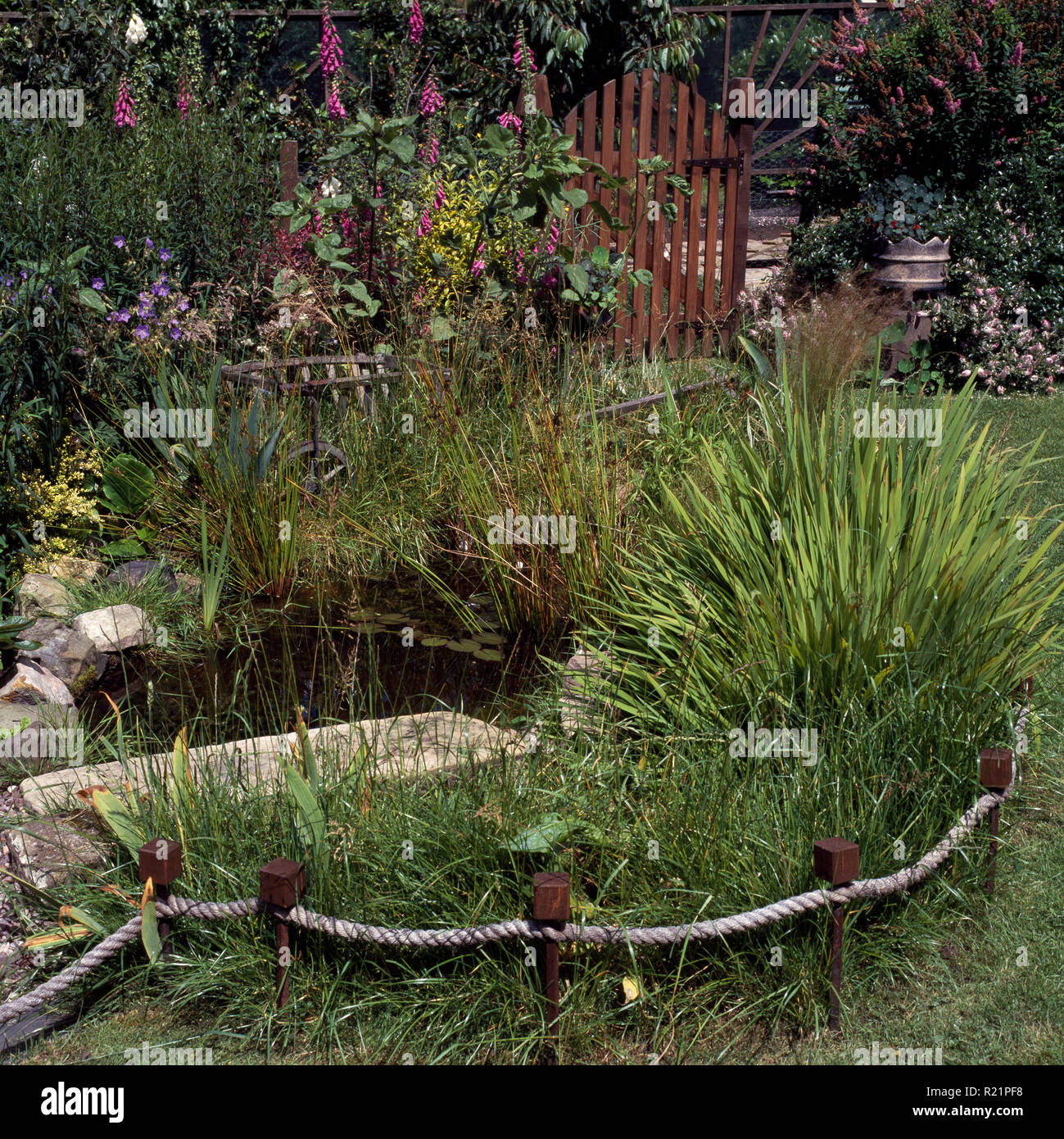 Gräser und niedrigen Seil + post Zaun um kleine Pool Stockfoto
