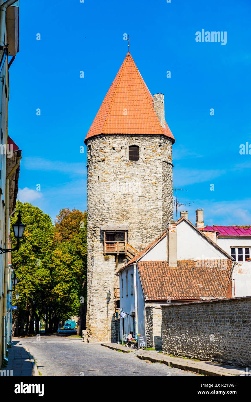 Platte Turm, Teil der Stadtmauer. Tallinn, Harjumaa, Estland, Baltikum, Europa. Stockfoto