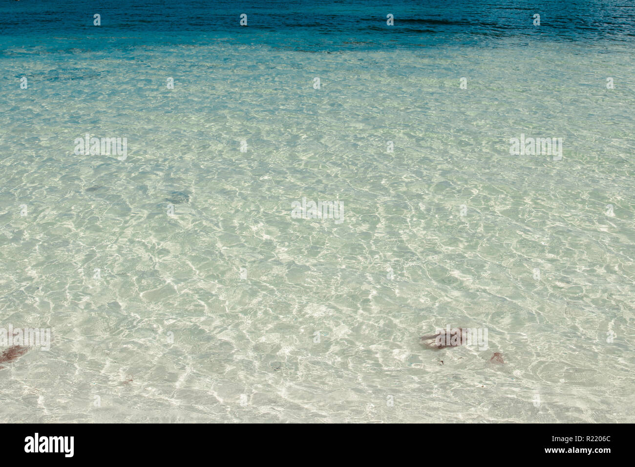 Klare blaue Wasser und den weißen Sand Strand in CANCUN Mexiko Stockfoto