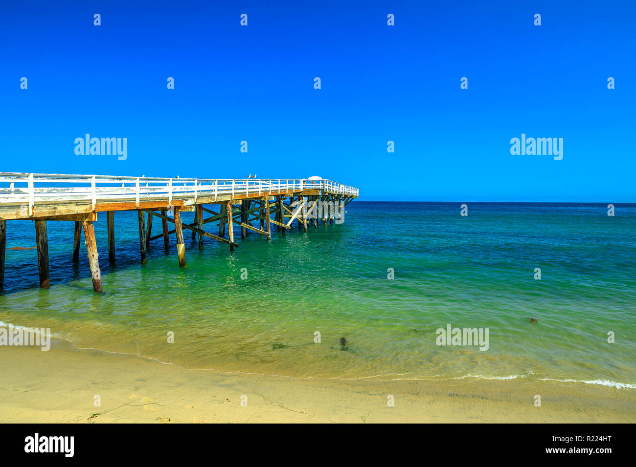 Paradise Cove Pier, eine hölzerne Pier in Paradise Cove Beach, Malibu, California, United States. Wallpaper türkisfarbenes Wasser, kopieren. Luxuriöse Reiseziel an der Pazifikküste. Summer Blue Sky. Stockfoto