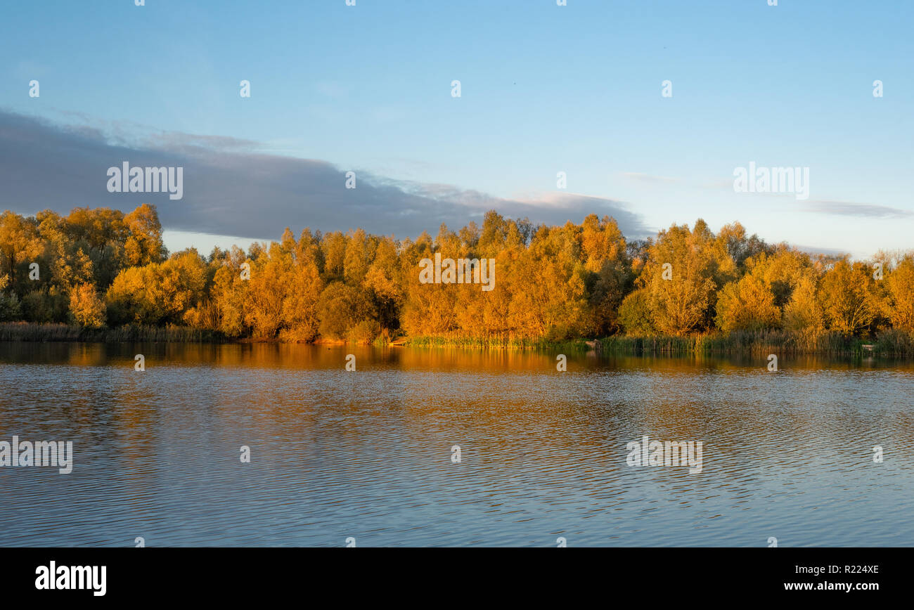 Bunte Baumgrenze. Stockfoto