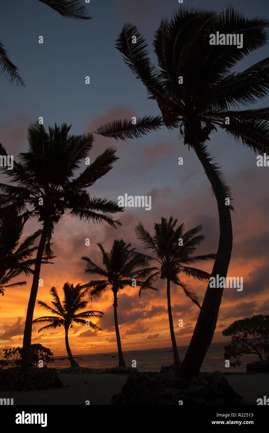 Sonnenuntergang Silhouetten auf Aitutaki, Cook Inseln. Stockfoto
