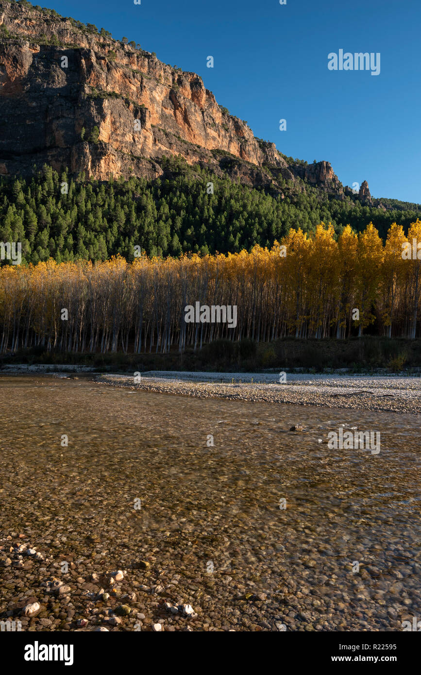 Herbstfarben im Fluss Segura, Sierra de los Molares, Yeste. Provinz Albacete, Castilla-La Mancha. Spanien Stockfoto