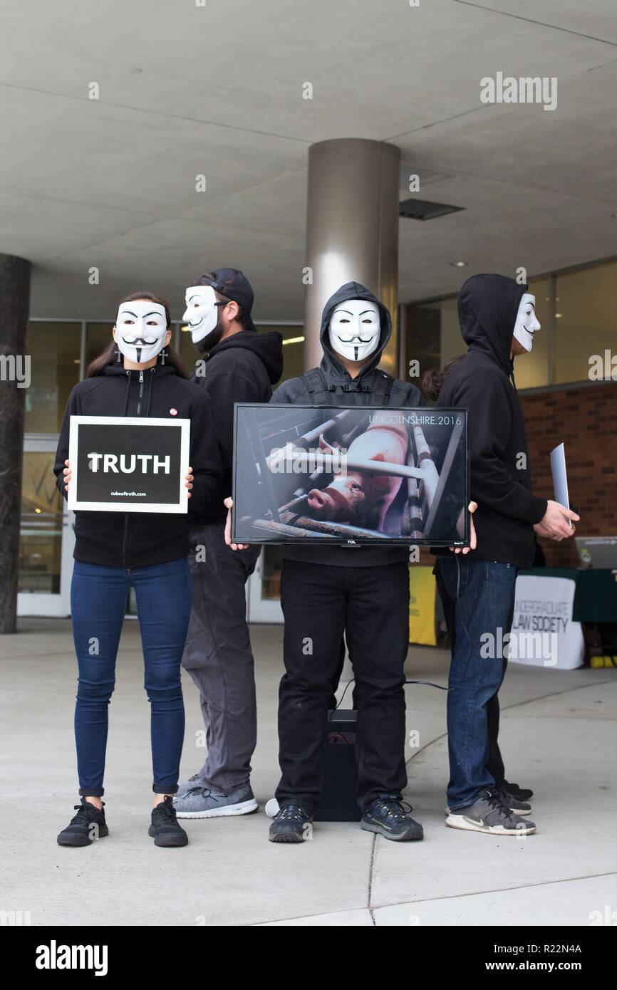 Vegan Aktivisten bilden ein " Cube der Wahrheit' an der Universität von Oregon in Eugene, Oregon, USA. Stockfoto
