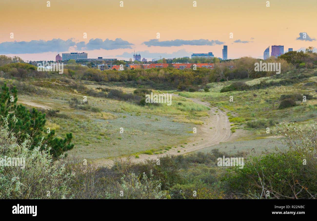 Zu Fuß Straße durch die Düne Hügel von Scheveningen in den Niederlanden die Ansicht auf die Stadt Stockfoto