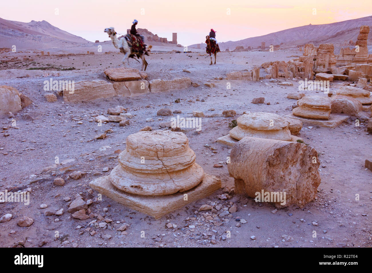 Palmyra Homs Governatorat, Syrien - 26 Mai 2009: Männer fahren Kamele der Beduinen durch die Ruinen von Palmyra bei Sonnenuntergang. Stockfoto