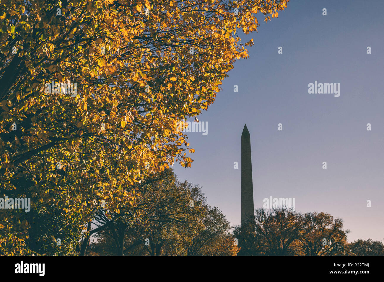 Blick auf den Washington Monument mit Herbst Laub und blauer Himmel Stockfoto