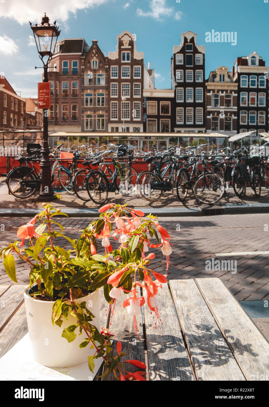 Klassischen Amsterdamer Gebäude im Hintergrund mit Fahrrädern, Lamp Post, gepflasterten Straßen und einem Blumentopf im Vordergrund sitzt auf einem Outdoor l Stockfoto