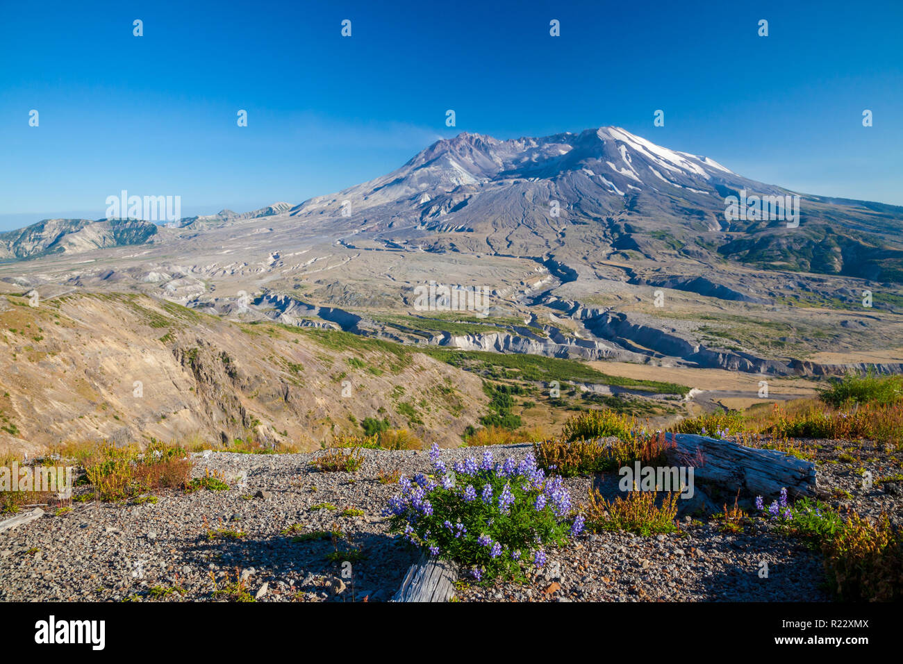 Der Vulkan Mount Saint Helens in Washington, USA Stockfoto