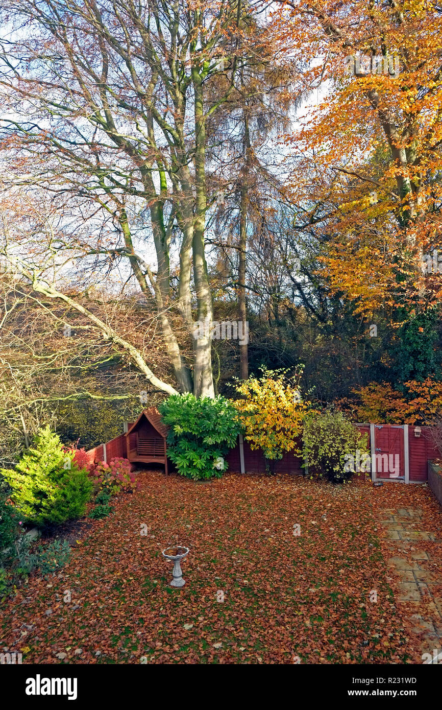 Herbst in rhe Garten Stockfoto