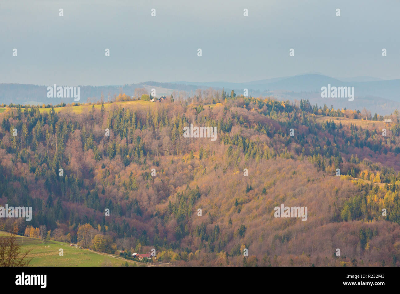 Herbst Landschaft Foto in den polnischen Beskiden, Grabowa genommen. Stockfoto
