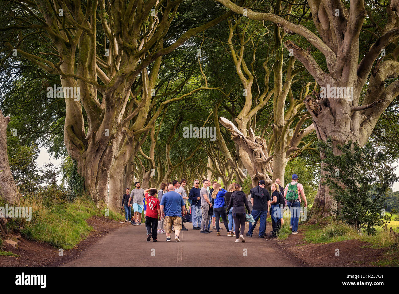 Touristen, die in den dunklen Hecken in Nordirland Stockfoto