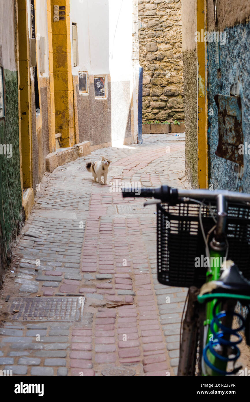 Altstadt Straße in Essaouira. Atlantikküste, Marokko, Nordafrika, Afrika Stockfoto