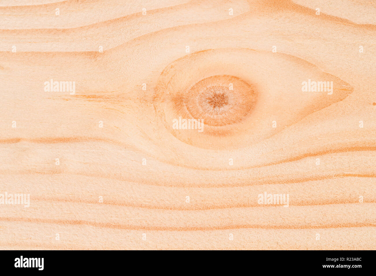 Licht Holzbrett extreme Close up. Große makro Textur und Hintergrund Stockfoto