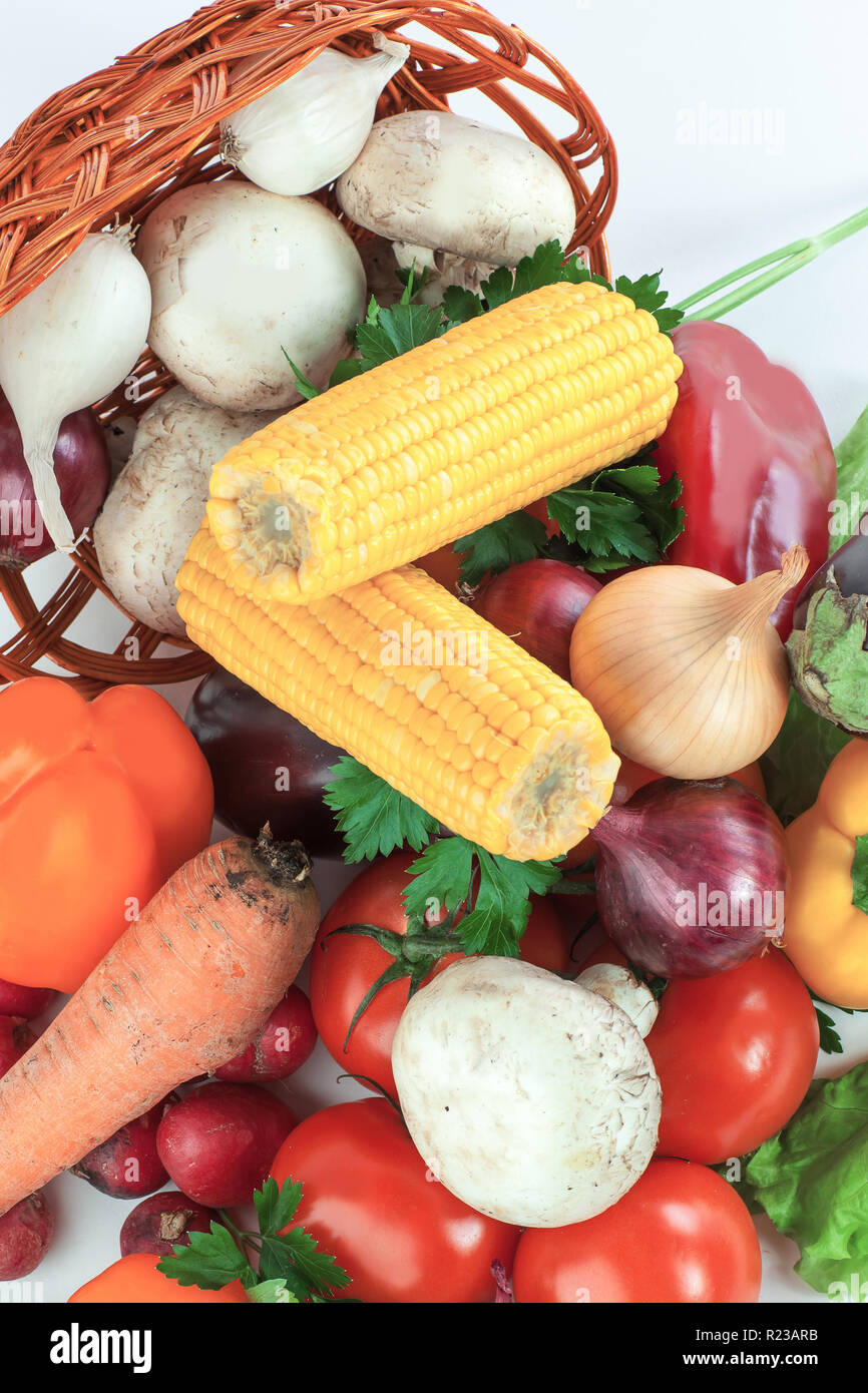 Closeup. Pilze und eine Vielzahl von frischem Gemüse in einem Korb Stockfoto