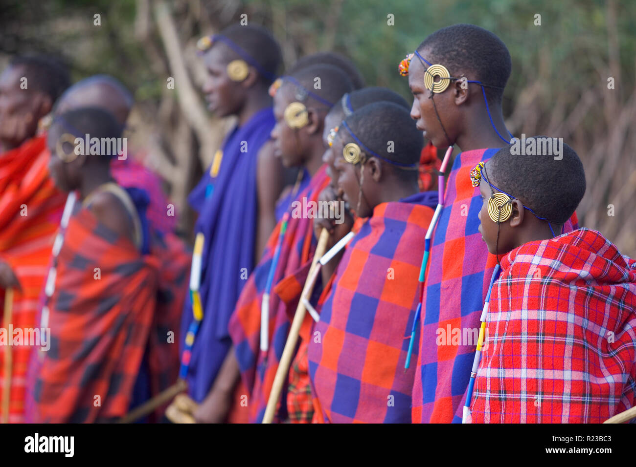 Kenia, Afrika - Januar 2006: Junge Maasi Mara initiiert Stockfoto