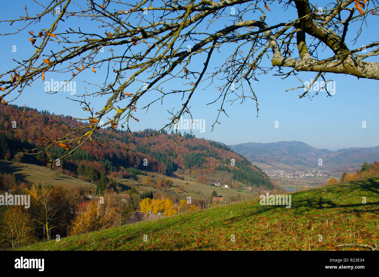 Schönen Herbst im Schwarzwald bei Gengenbach Stockfoto