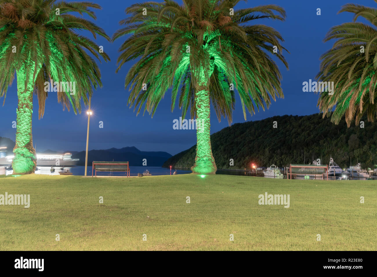 PICTON NEUSEELAND - 2. Oktober 2018; Lange Belichtung hell beleuchteten Palmen und Meer bei Nacht mit beleuchtetem Wasser-Kante und verschwommenes Fähre movi Stockfoto