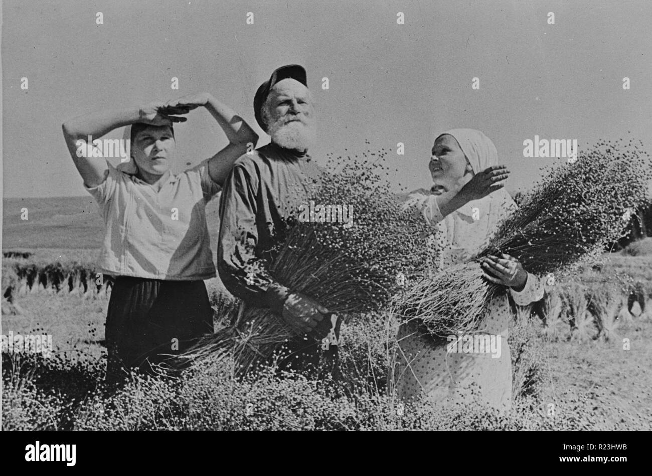 Flachs-Pflücker während der Ernte auf ein Kollektiv in der autonomen Republik Mari El, USSR (Union der Sozialistischen Sowjetrepubliken) Stockfoto