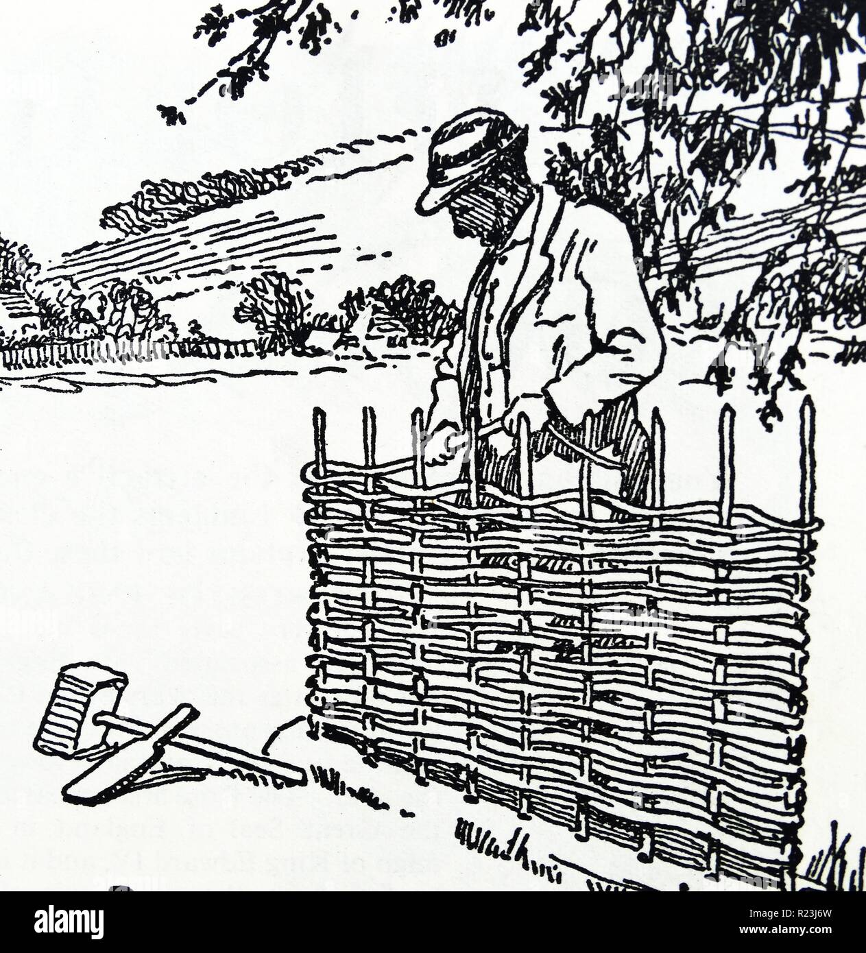 Abbildung eines Mannes einen geflochtenen Zaun auf dem Lande zu schaffen. Datiert 1900 Stockfoto