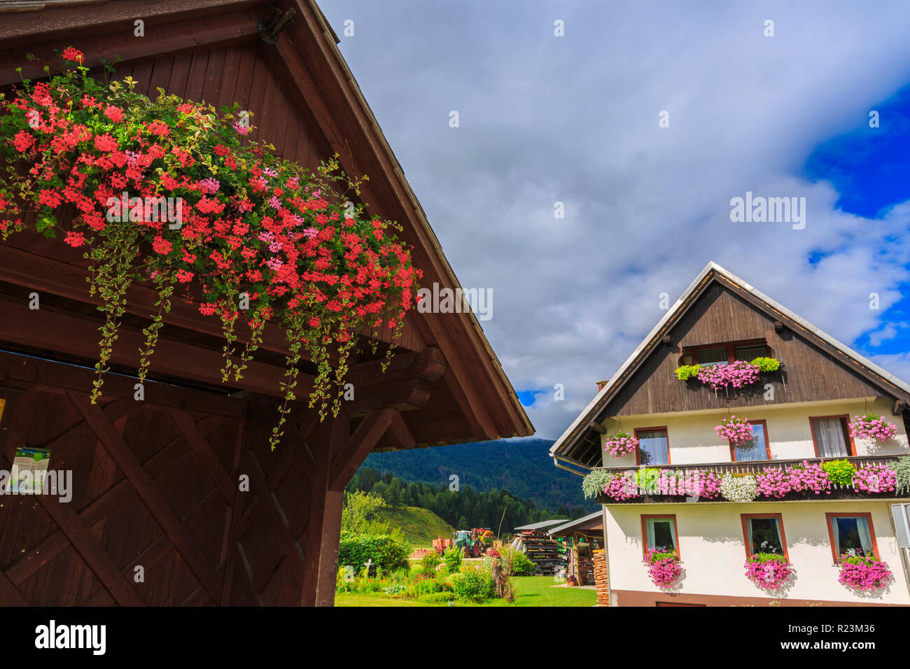 Ländliche Haus mit Blumen. Stockfoto