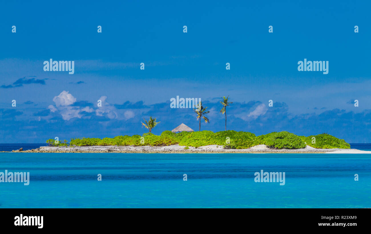 Tropischer Inselstrand auf den Malediven. Stockfoto
