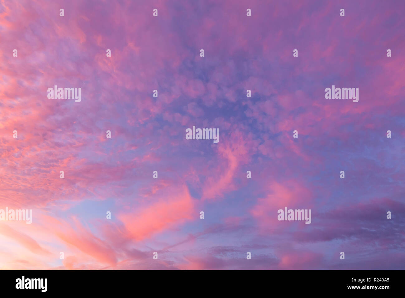 Rosa Wolken und blauer Himmel Hintergrund zeigen Naturen ruhiges Wetter und Abendrot Landschaft Stockfoto