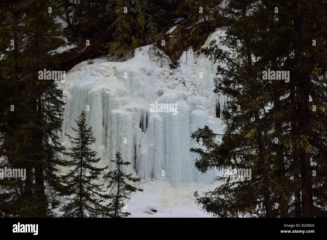Winter vistas in Alberta Stockfoto
