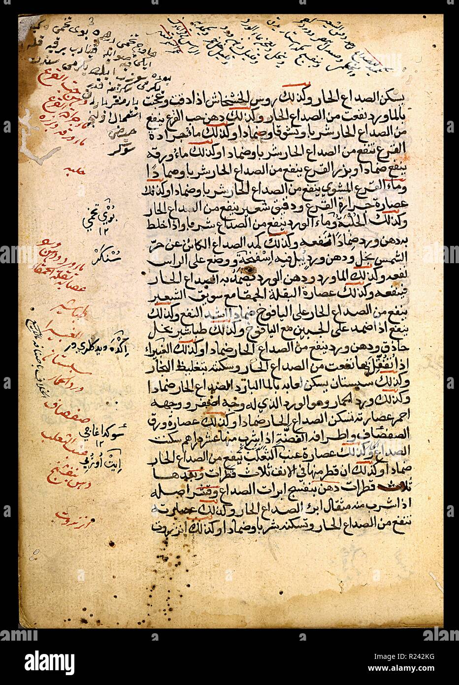 Yuhanna Ibn Bukhtishu (aktive Ca. 892), Organisation von Drogen mit dem bekannten Pflanzen, Medikamenten und Lebensmitteln. Diese Abhandlung über die Materia medica zu Yuhanna Ibn Bukhtishu, ein Mitglied einer Familie von syrischen Ärzte zugeschrieben, beinhaltet sowohl griechische und lokale Arzneimittel. Stockfoto