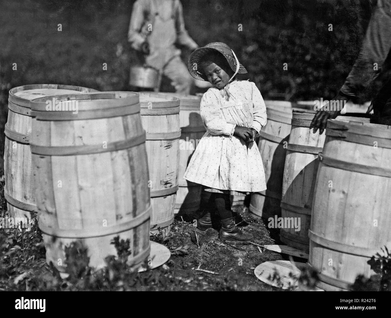 Lewis Hine (Fotograf). Mary Christmas, nimmt fast 4 Jahre alt Preiselbeeren in den USA Stockfoto