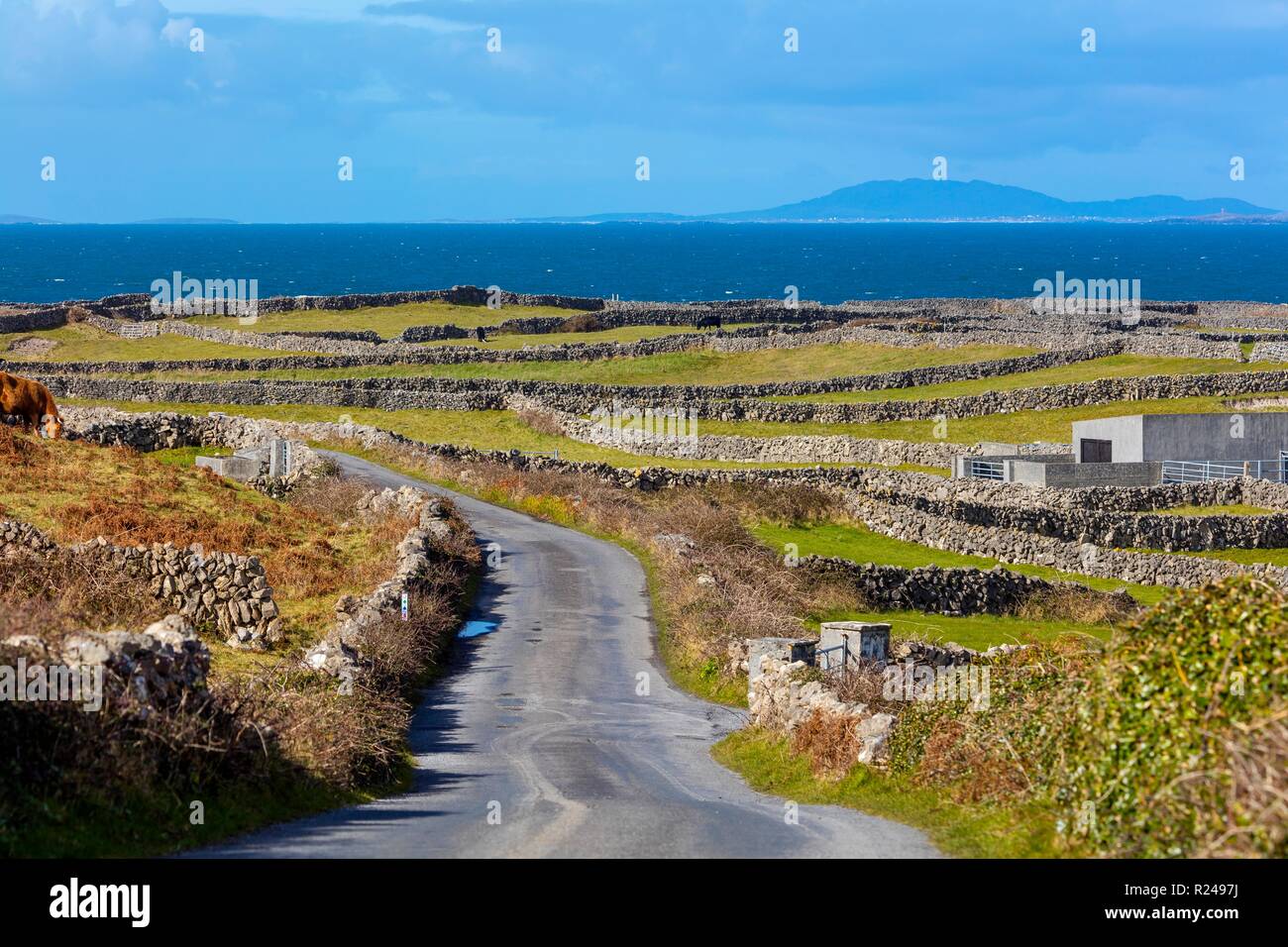 Port Eochla, Inish Mehr, Aran Islands, Irland, Europa Stockfoto