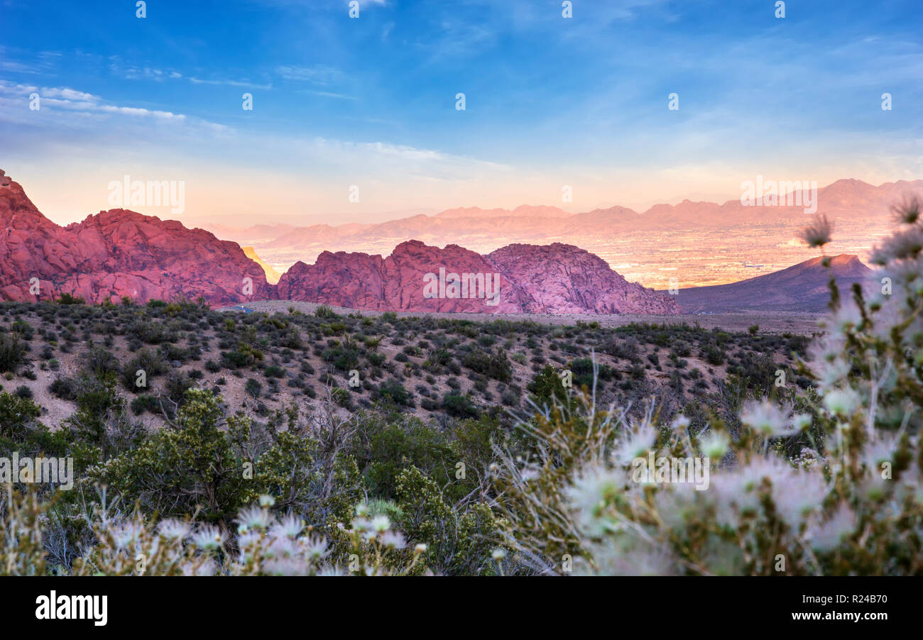 Blick auf Felsformationen und Flora in der Red Rock Canyon National Recreation Area, Las Vegas, Nevada, Vereinigte Staaten von Amerika, Nordamerika Stockfoto