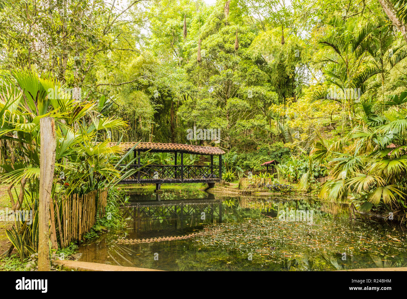 Der Teich in Los Balsos botanischen Gärten in Jerico, Antioquia, Kolumbien, Südamerika Stockfoto