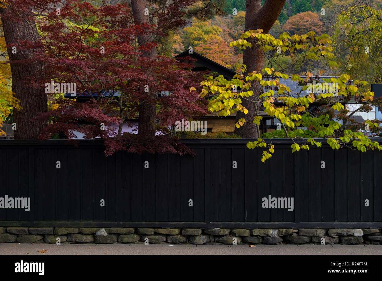 Die traditionellen alten Japanischen schwarz Holz Zäune entlang Bukeyashiki Straße in Kaunodate, Japan während der Fallhöhe Farbe. Stockfoto