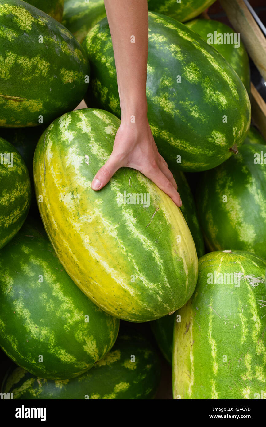 Wassermelone an der frischen Abteilung eines Supermarkts. Stockfoto