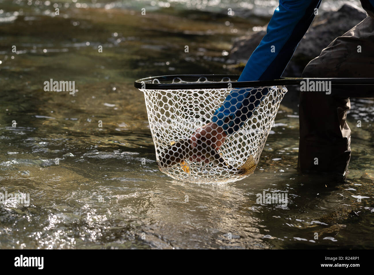 Fischer holding Fischfang in der net Stockfoto