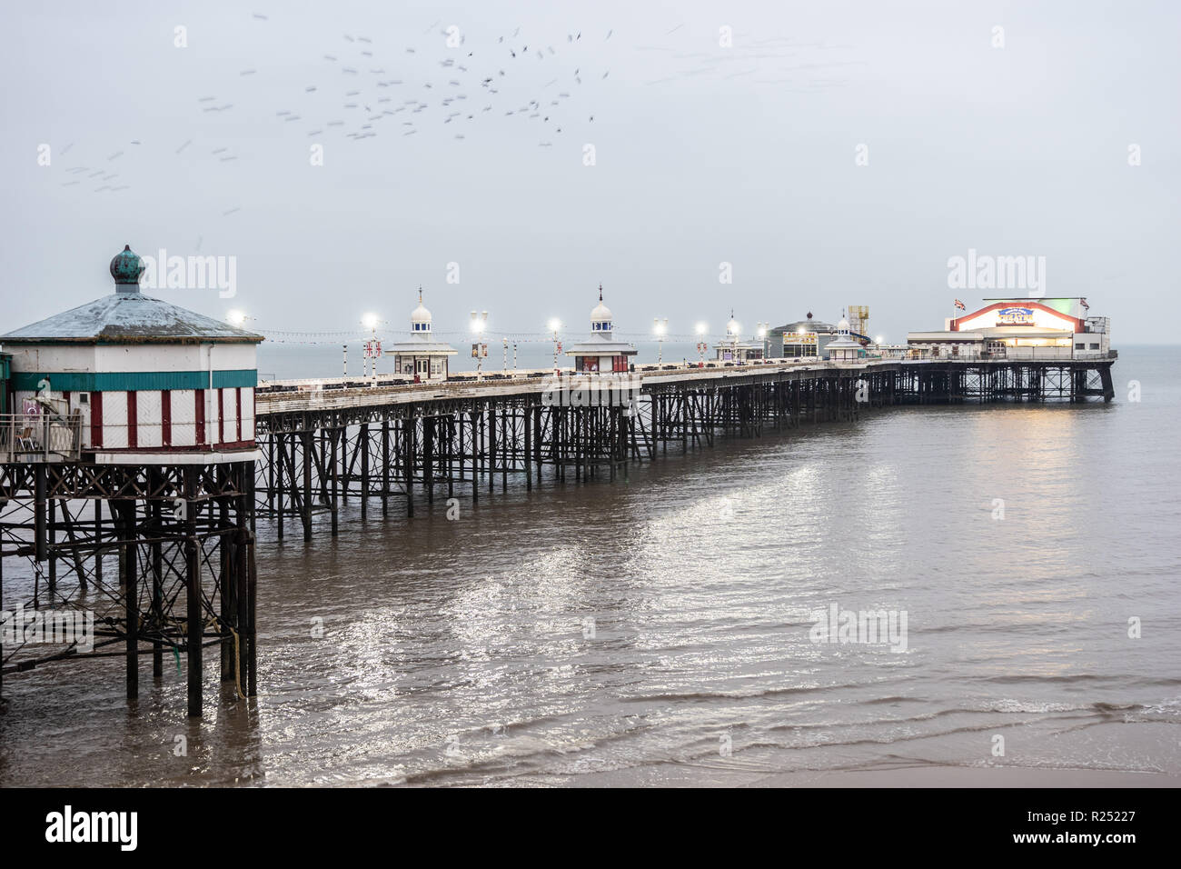 Blackpool Großbritannien, 16. November 2018. Wetter news. Das Wetter ist mild, aber in Blackpool stumpf an diesem Abend. Die Stare sich für Ihren Abend roost an der Nordküste von Blackpool pier, einer der wenigen Rastplätze um das Land Credit: Gary Telford/Alamy leben Nachrichten Stockfoto
