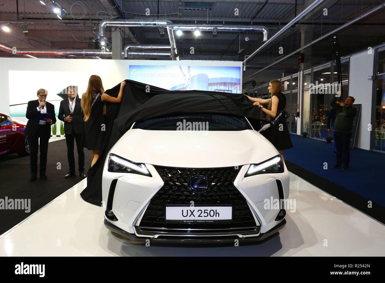 Corato, Polen, 16. November 2018: Lexus präsentiert die jüngsten Modelle an der Warschauer Motor Show. Credit: Jake Ratz/Alamy leben Nachrichten Stockfoto