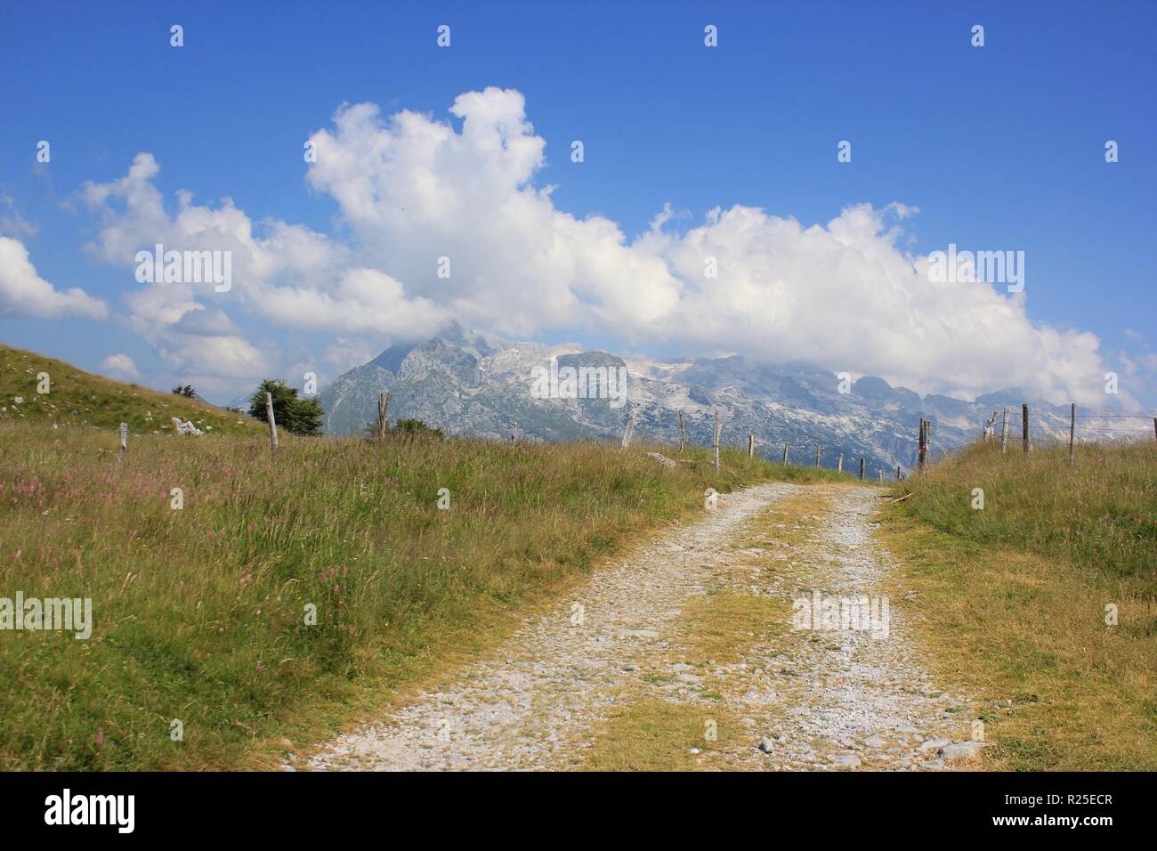 Alpenpfad Landschaft und Kanin-Berge im Hintergrund, Blick von Kobariski Stol, Juliana Walking Trail, Julische Alpen, Alpe Adria Trail, Slowenien Stockfoto