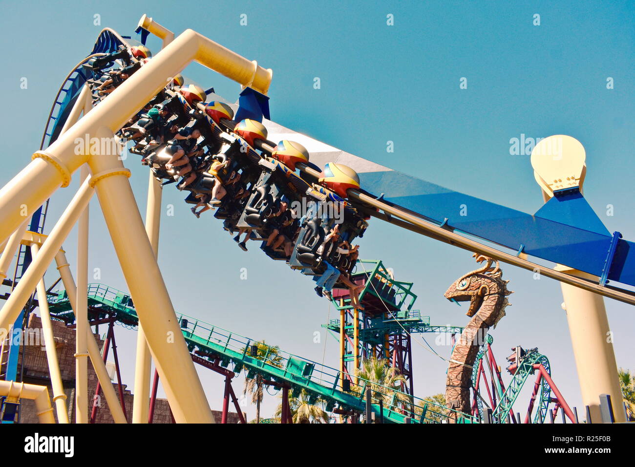 Montu Roller Coaster Busch Gardens Stockfotos Montu Roller