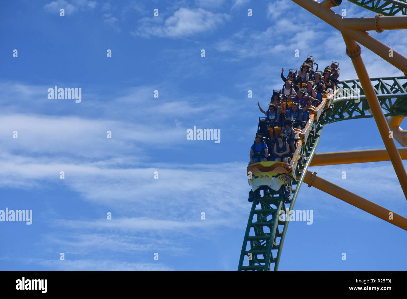 Tampa, Florida. Oktober 25, 2018 Nette Leute Spaß Geparden jagen Achterbahn in Busch Gardens Tampa Bay Stockfoto