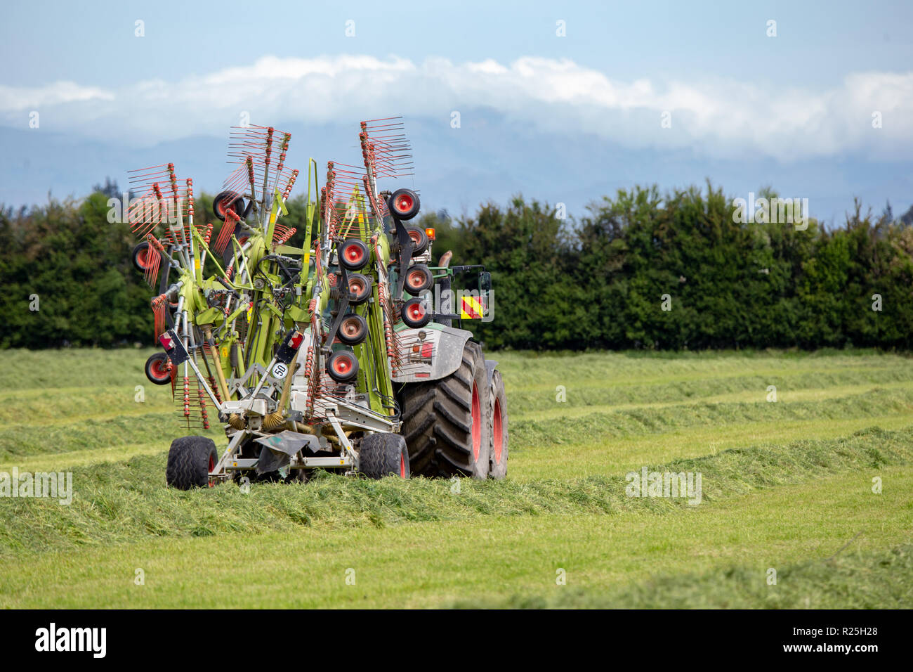 Einen Fendt Traktor und heuwender Arbeiten in einem Bauernhof Feld harken Schnittgras in Zeilen, die für das Heu pressen Stockfoto