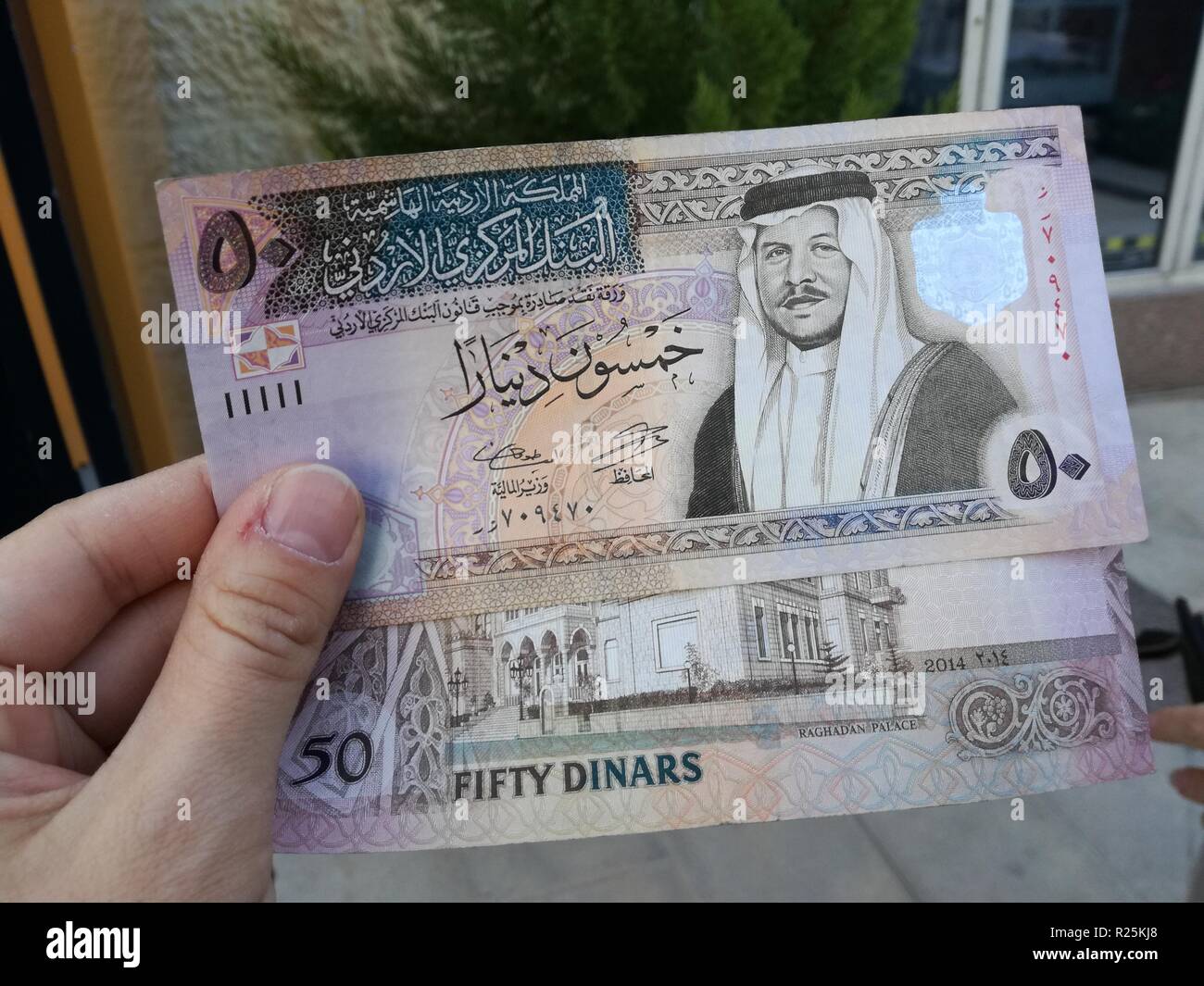Männliche Hand, die jordanische Dinar Banknoten vor einem Fenster. Stockfoto