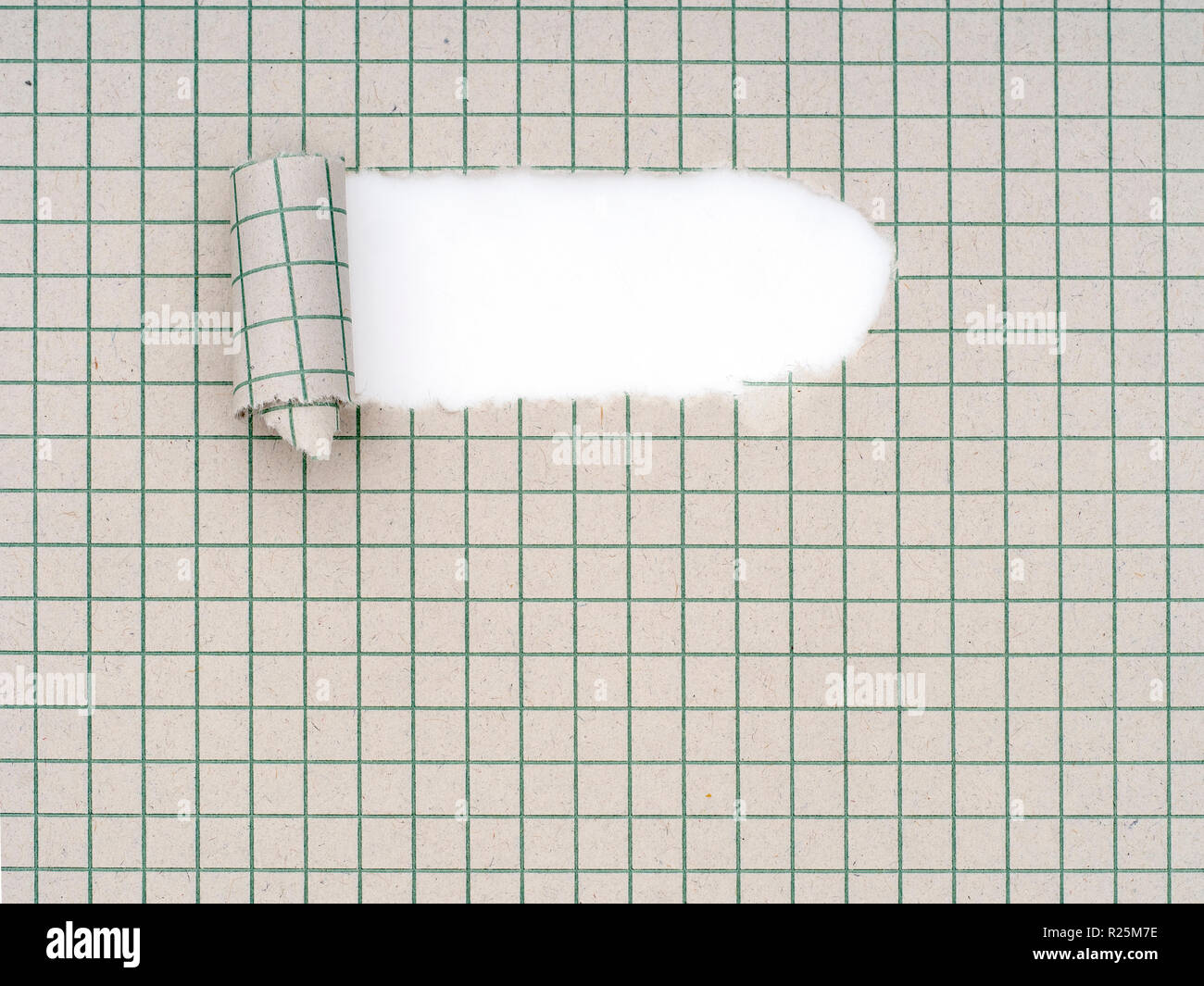 Hin- und hergerissen, riss squared Schule copybook aka Übungsbuch, mit gewelltem Papier, gerollt. Hintergrund. Stockfoto