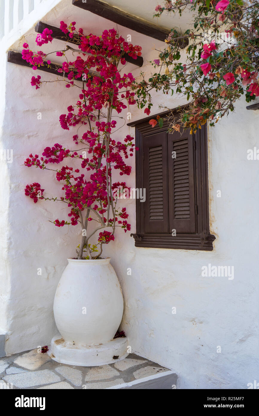 Griechische Inseln, Syros Stockfoto