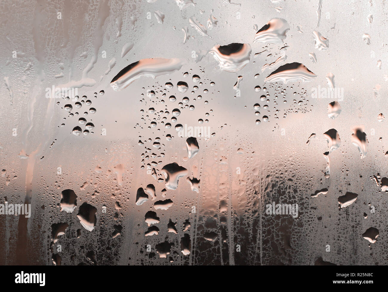 Große und feine Wassertropfen auf Fensterglas Stockfoto