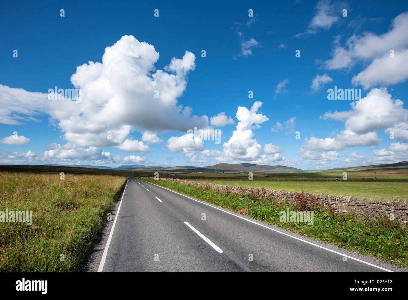 Single Track Road und Weiden, Orkney Inseln, Schottland, Vereinigtes Königreich Stockfoto